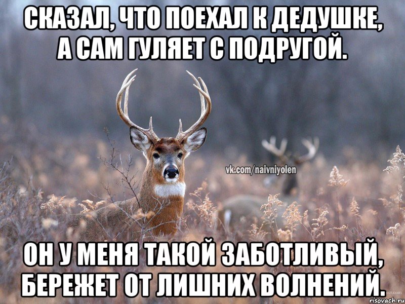 Сказал, что поехал к дедушке, а сам гуляет с подругой. Он у меня такой заботливый, бережет от лишних волнений., Мем   Наивный олень