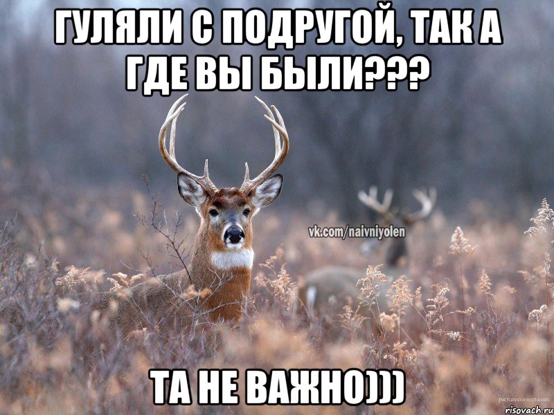 гуляли с подругой, так а где вы были??? та не важно))), Мем   Наивный олень