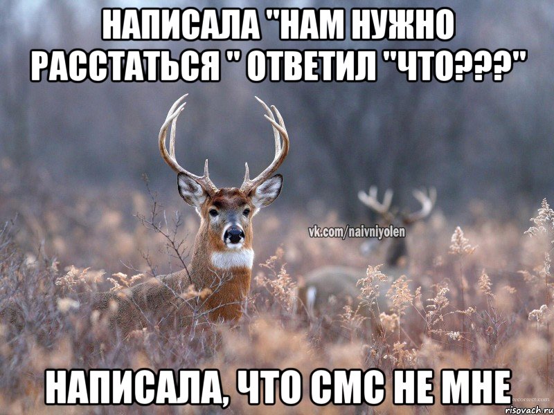 Написала "нам нужно расстаться " ответил "что???" написала, что смс не мне, Мем   Наивный олень