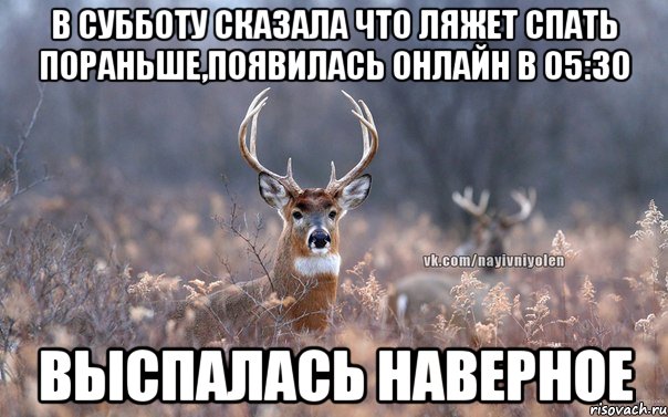 в субботу сказала что ляжет спать пораньше,появилась онлайн в 05:30 выспалась наверное