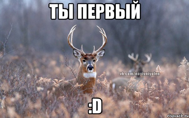 Ты первый :D