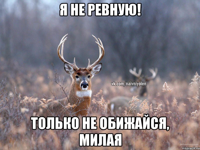 Я не ревную! Только не обижайся, милая