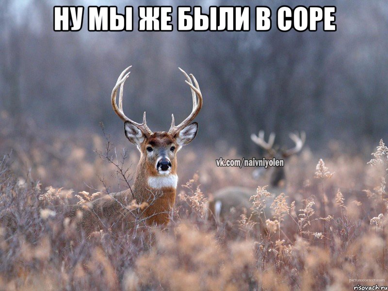 Ну мы же были в соре 