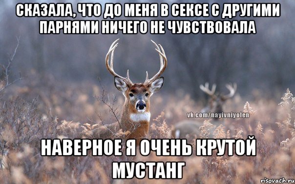 Сказала, что до меня в сексе с другими парнями ничего не чувствовала Наверное я очень крутой мустанг, Мем   Наивный олень