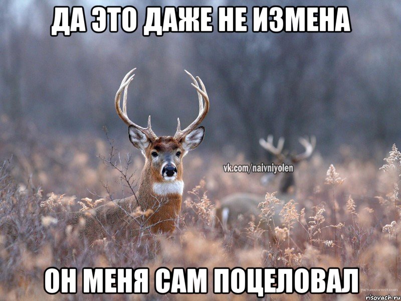 Да это даже не измена Он меня сам поцеловал