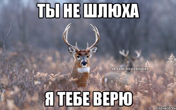 ТЫ НЕ ШЛЮХА Я ТЕБЕ ВЕРЮ