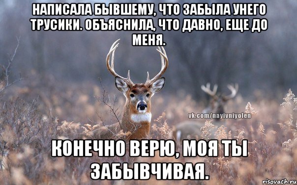 Написала бывшему, что забыла унего трусики. Объяснила, что давно, еще до меня. Конечно верю, моя ты забывчивая.