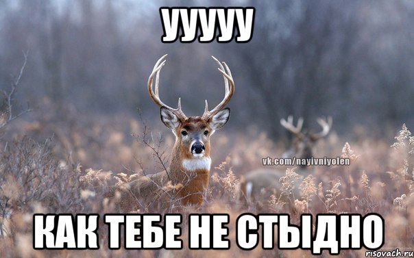 ууууу как тебе не стыдно