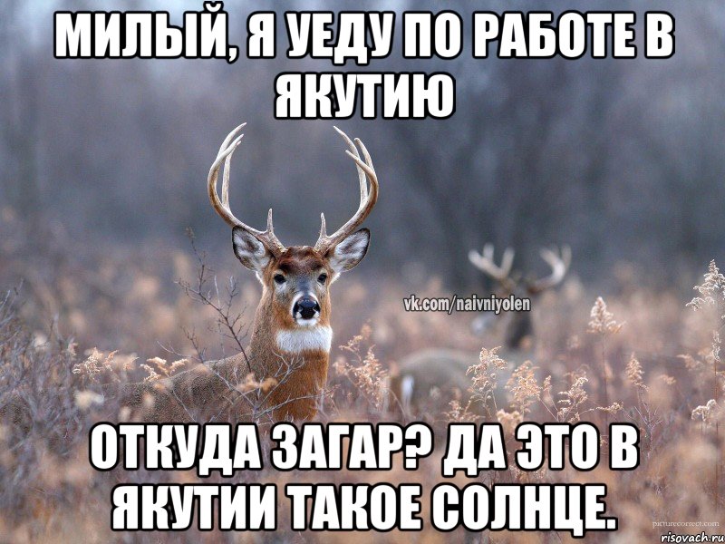 Милый, я уеду по работе в Якутию Откуда загар? Да это в Якутии такое солнце.