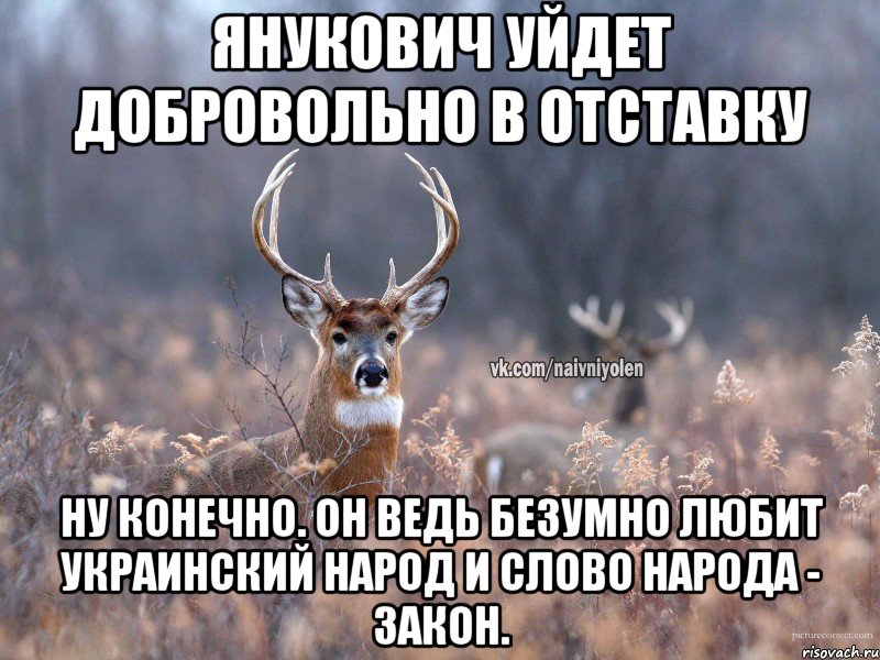 Янукович уйдет добровольно в отставку Ну конечно. Он ведь безумно любит украинский народ и слово народа - закон.