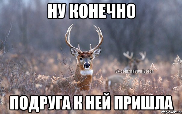 Ну конечно Подруга к ней пришла