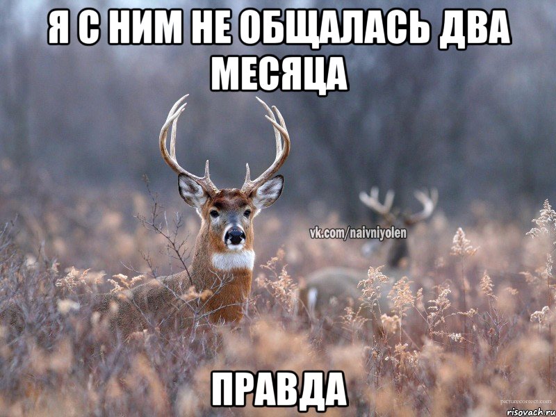 Я с ним не общалась два месяца Правда