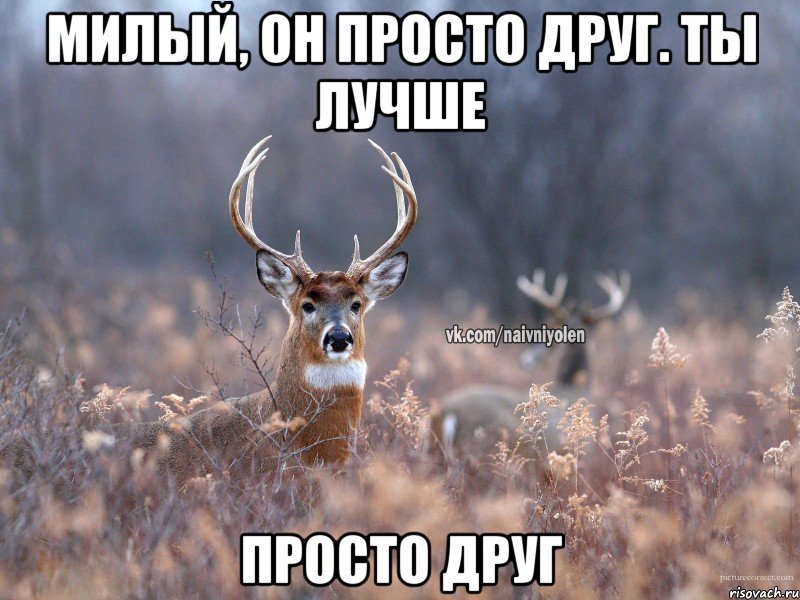 Милый, он просто друг. Ты лучше Просто друг