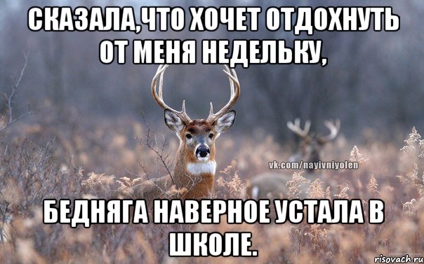 сказала,что хочет отдохнуть от меня недельку, бедняга наверное устала в школе.