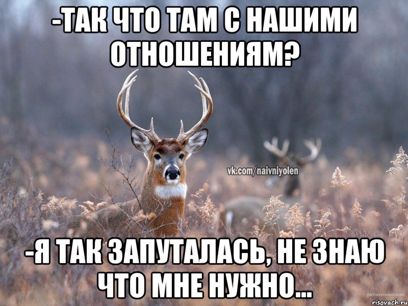 -Так что там с нашими отношениям? -Я так запуталась, не знаю что мне нужно..., Мем   Наивный олень