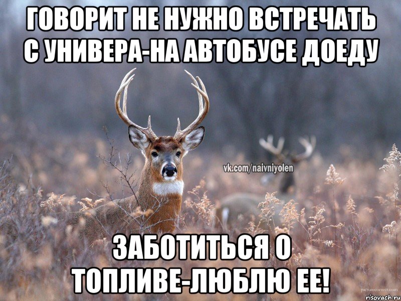 Говорит не нужно встречать с универа-на автобусе доеду Заботиться о топливе-люблю ее!