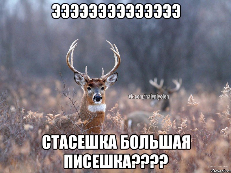 ээээээээээээээ Стасешка большая писешка????