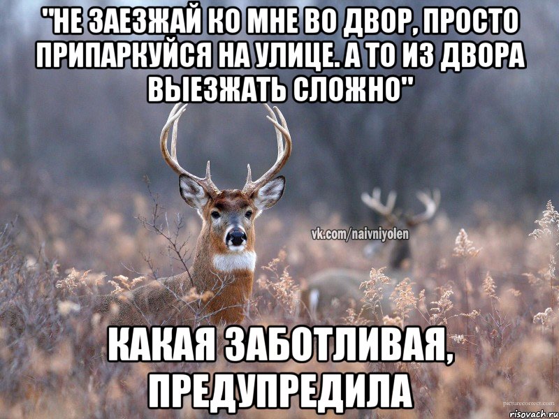 "Не заезжай ко мне во двор, просто припаркуйся на улице. А то из двора выезжать сложно" Какая заботливая, предупредила