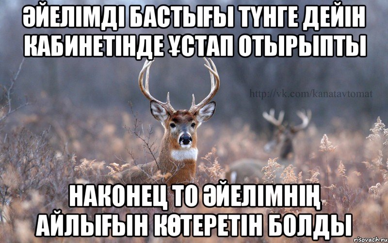 әйелімді бастығы түнге дейін кабинетінде ұстап отырыпты наконец то әйелімнің айлығын көтеретін болды