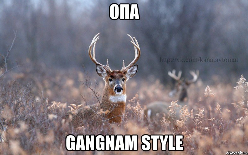 Опа Gangnam style