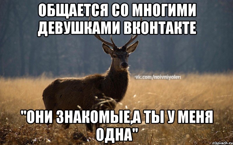 Общается со многими девушками ВКонтакте "Они знакомые,а ты у меня одна", Мем Наивный Олень vk2