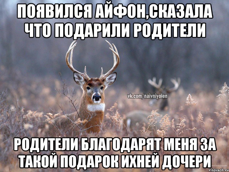 Появился айфон,сказала что подарили родители родители благодарят меня за такой подарок ихней дочери