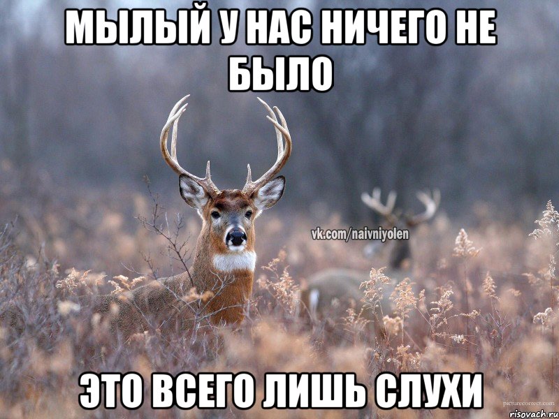 МЫЛЫЙ У НАС НИЧЕГО НЕ БЫЛО ЭТО ВСЕГО ЛИШЬ СЛУХИ