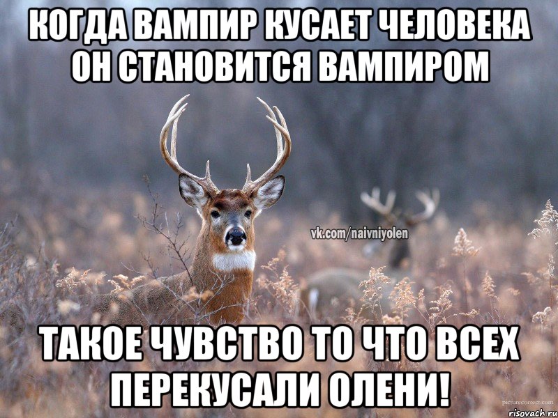 Когда вампир кусает человека он становится вампиром Такое чувство то что всех перекусали олени!