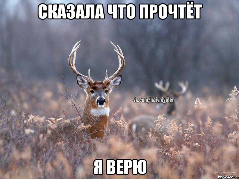 Сказала что прочтёт Я верю