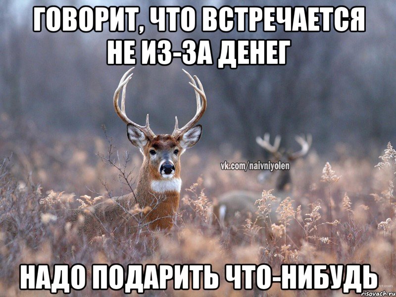 Говорит, что встречается не из-за денег надо подарить что-нибудь, Мем   Наивный олень