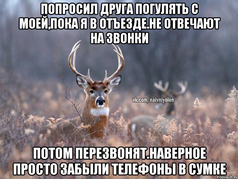 попросил друга погулять с моей,пока я в отъезде.не отвечают на звонки потом перезвонят.наверное просто забыли телефоны в сумке, Мем   Наивный олень