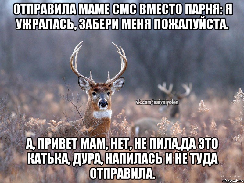 Отправила маме смс вместо парня: я ужралась, забери меня пожалуйста. А, привет мам, нет, не пила,да это Катька, дура, напилась и не туда отправила.