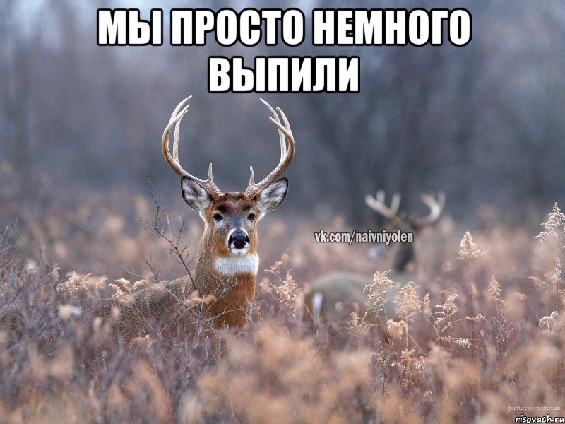 мы просто немного выпили 