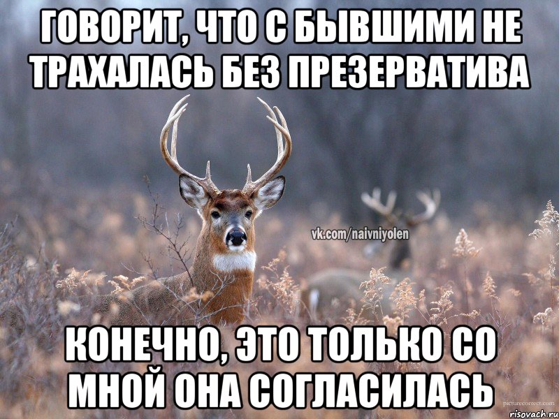 Говорит, что с бывшими не трахалась без презерватива конечно, это только со мной она согласилась, Мем   Наивный олень