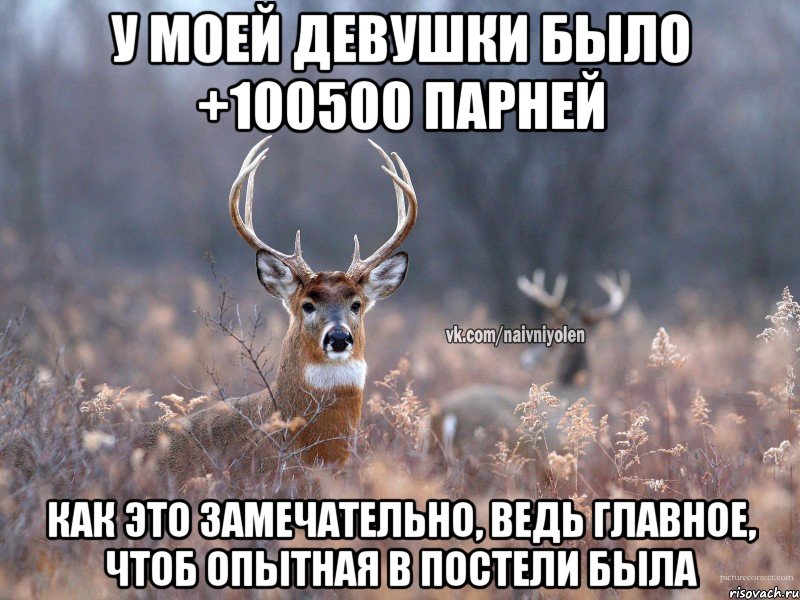 У моей девушки было +100500 парней как это замечательно, ведь главное, чтоб опытная в постели была, Мем   Наивный олень