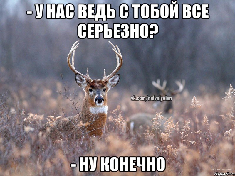 - у нас ведь с тобой все серьезно? - ну конечно, Мем   Наивный олень