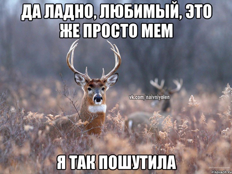 да ладно, любимый, это же просто мем я так пошутила, Мем   Наивный олень