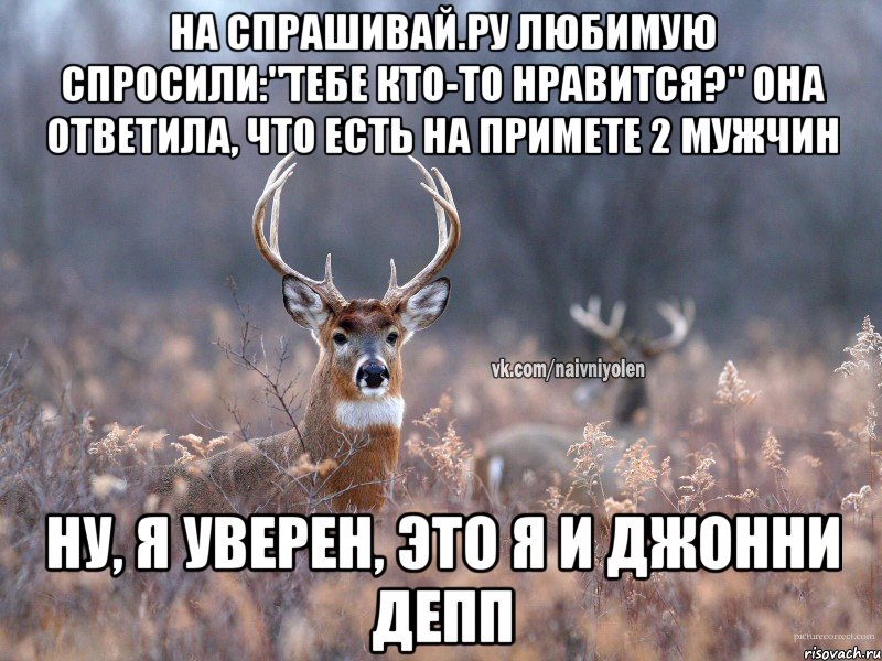 На Спрашивай.ру любимую спросили:"Тебе кто-то нравится?" Она ответила, что есть на примете 2 мужчин Ну, я уверен, это Я и Джонни Депп