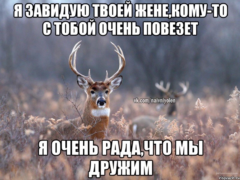 я завидую твоей жене,кому-то с тобой очень повезет я очень рада,что мы дружим, Мем   Наивный олень