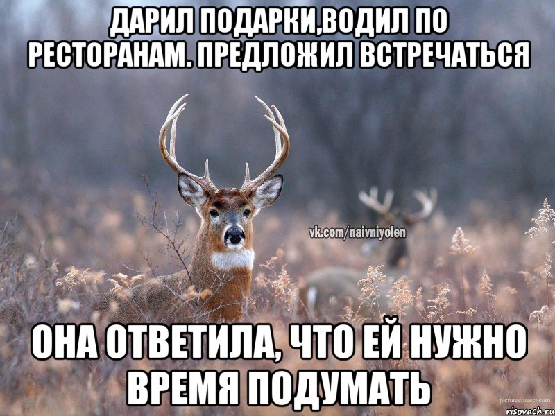 дарил подарки,водил по ресторанам. предложил встречаться она ответила, что ей нужно время подумать, Мем   Наивный олень