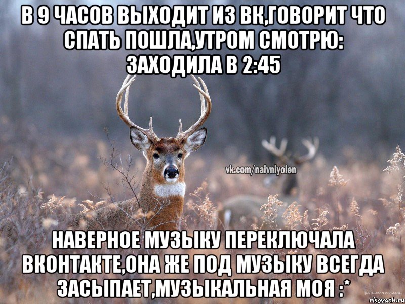 в 9 часов выходит из вк,говорит что спать пошла,утром смотрю: заходила в 2:45 наверное музыку переключала вконтакте,она же под музыку всегда засыпает,музыкальная моя :*, Мем   Наивный олень