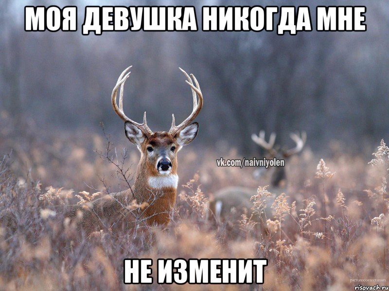 моя девушка никогда мне не изменит