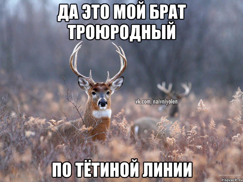 да это мой брат троюродный по тётиной линии