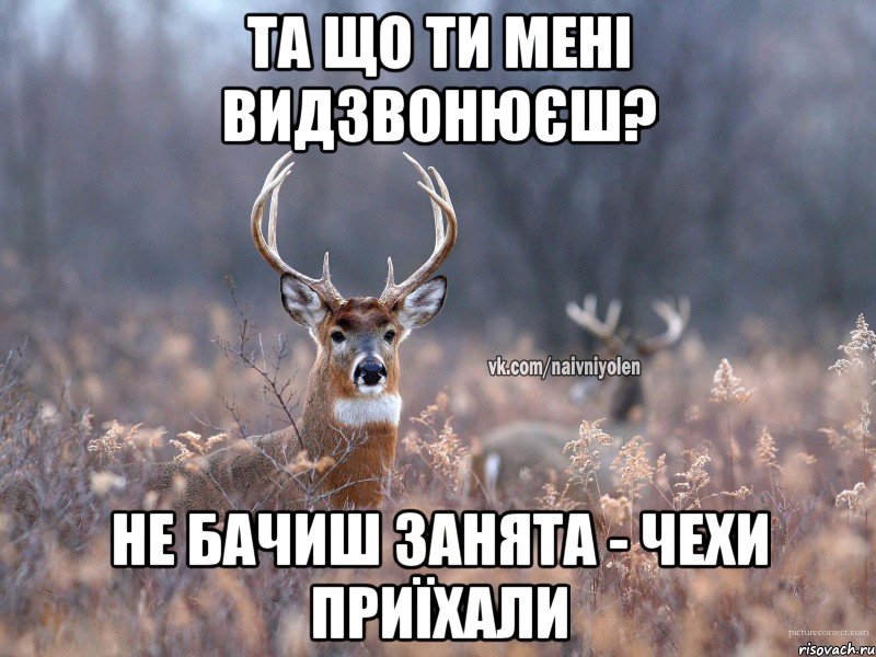 та що ти мені видзвонюєш? не бачиш занята - чехи приїхали, Мем   Наивный олень