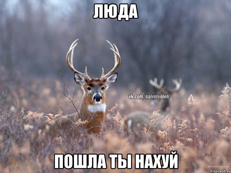 ЛЮДА Пошла ты нахуй