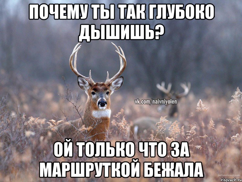 Так глубоко и так приятно