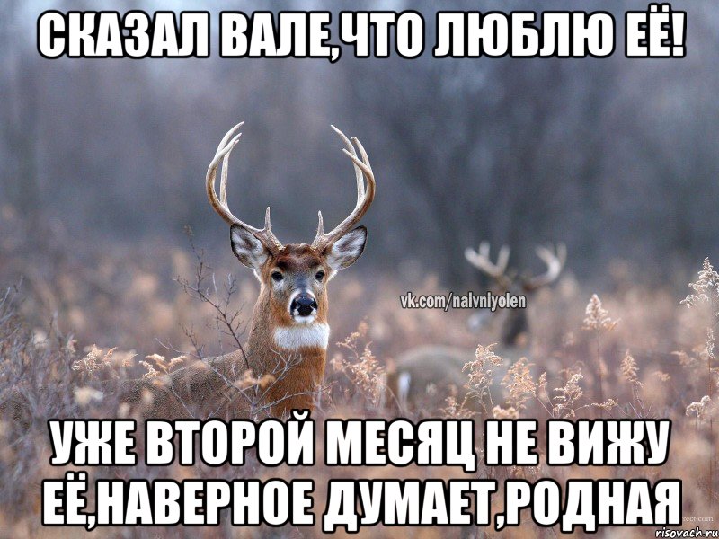 Сказал Вале,что люблю её! Уже второй месяц не вижу её,наверное думает,родная