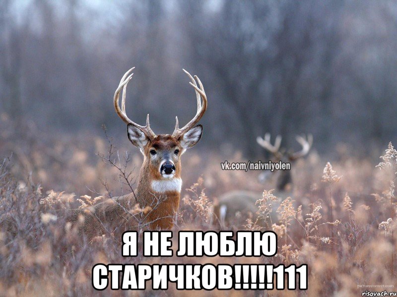  Я НЕ ЛЮБЛЮ СТАРИЧКОВ!!!!!111