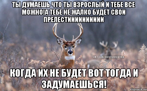 ты думаешь что ты взрослый и тебе все можно!а тебе не жалко будет свои прелестииииииииии когда их не будет вот тогда и задумаешься!, Мем   Наивный олень