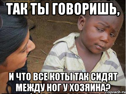 так ты говоришь, и что все коты так сидят между ног у хозяина?